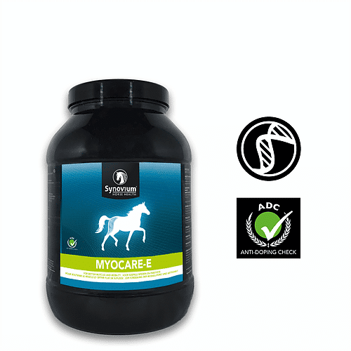 The benefits of Vitamin E supplementation in horses - Synovium Horse Health