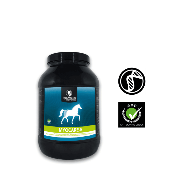 Muscle supplement for horses with vitamin E