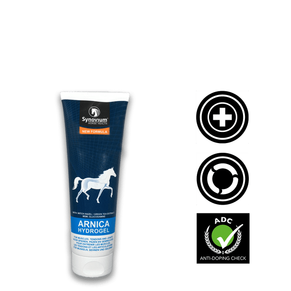 Arnica for horses, horse muscle recovery