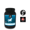 Synovium® Biobute - Synovium Horse Health
