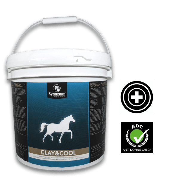 Large Synovium Cooling Clay for horses