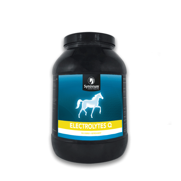 Electrolytes for horses, Synovium electrolytes Q