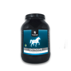 Gastrosafe Gut Balancer for horses, horse supplements for ulcers 1.5kg