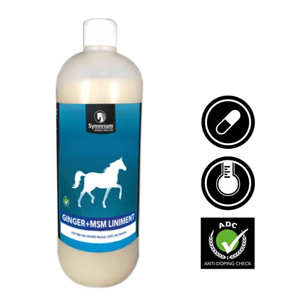 1L Ginger MSM horse liniment for muscles