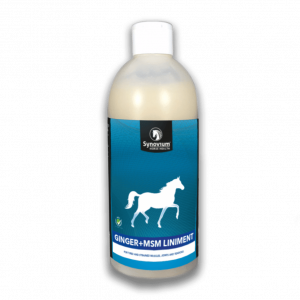 Ginger and MSM horse liniment for horses muscles, tendons and ligaments Synovium
