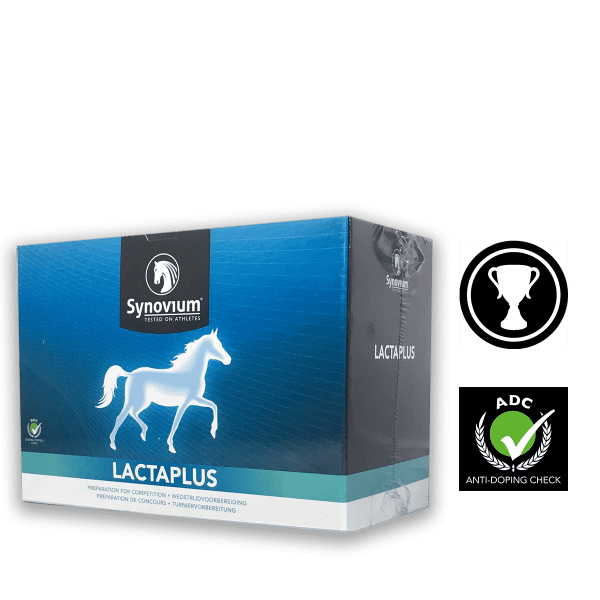 alpha lipoic acid for horses, Synovium Lactaplus