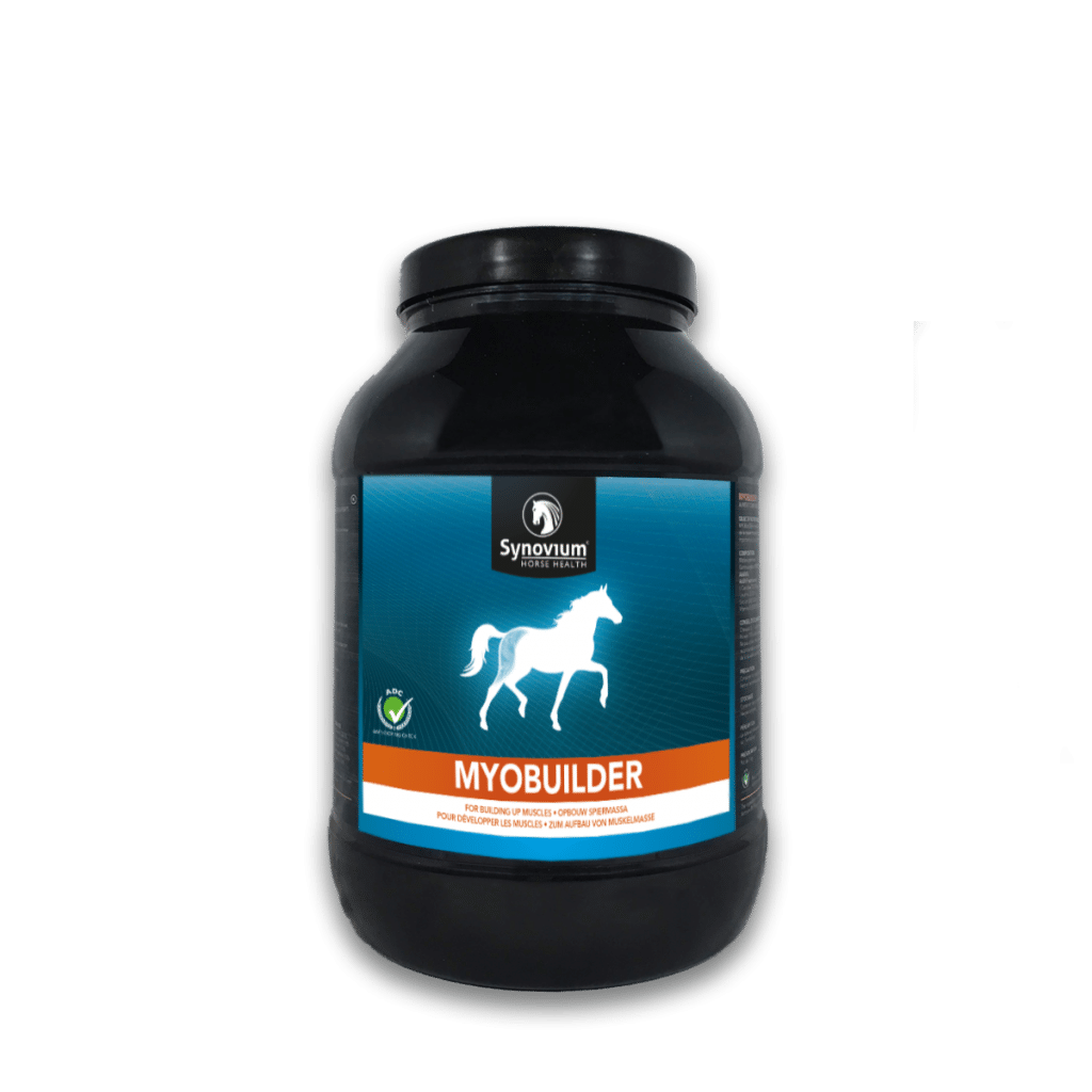 Synovium Myobuilder muscle builder for horses, Gamma Oryzanol