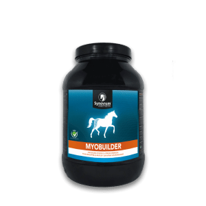 Synovium Myobuilder muscle builder for horses, Gamma Oryzanol