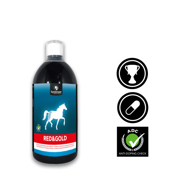 Energy boost for horses Synovium Red & Gold B Vitamins