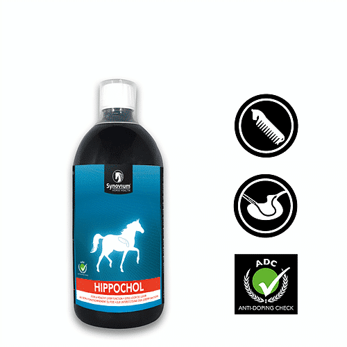 The benefits of giving your horse a break during COVID-19 lockdown! - Synovium Horse Health