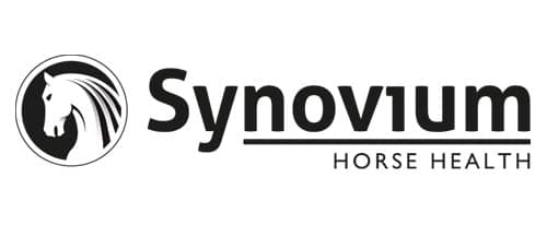 synovium horse supplements