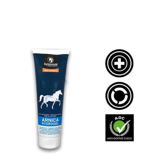 Great Benefits of Arnica for Horses and its uses - Synovium Horse Health