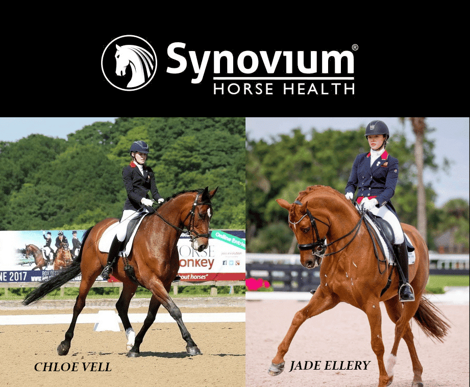 Jade Ellery Dressage and Chloe Vell International sponsored by Synovium Horse Health