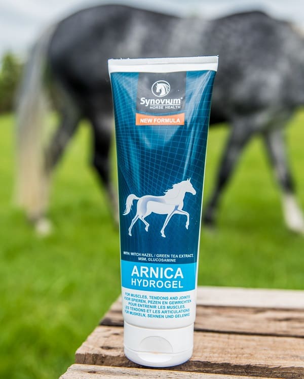 Great Benefits of Arnica for Horses and its uses - Synovium Horse Health