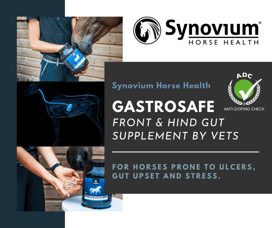 Synovium Gastrosafe ulcer supplements for horses
