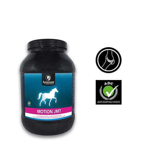 Is a Joint Supplement for Horses Important - Synovium Horse Health