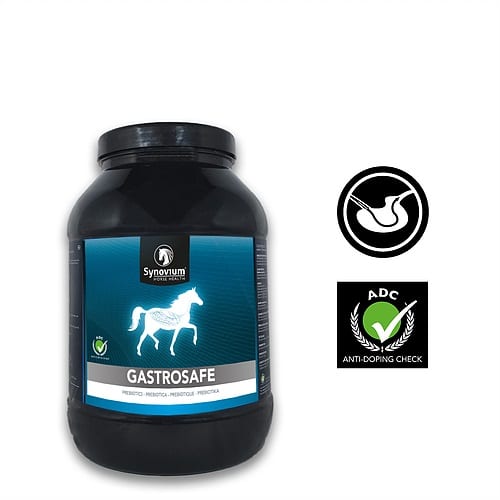Horse gut supplement, ulcer supplement for horses, gut balancer for horses