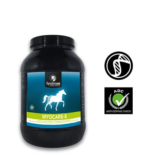 How supplements can benefit your horse - Synovium Horse Health