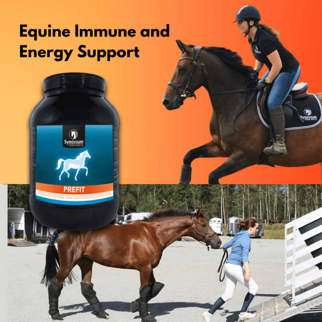 Horse Immune Support supplement Prefit by vets