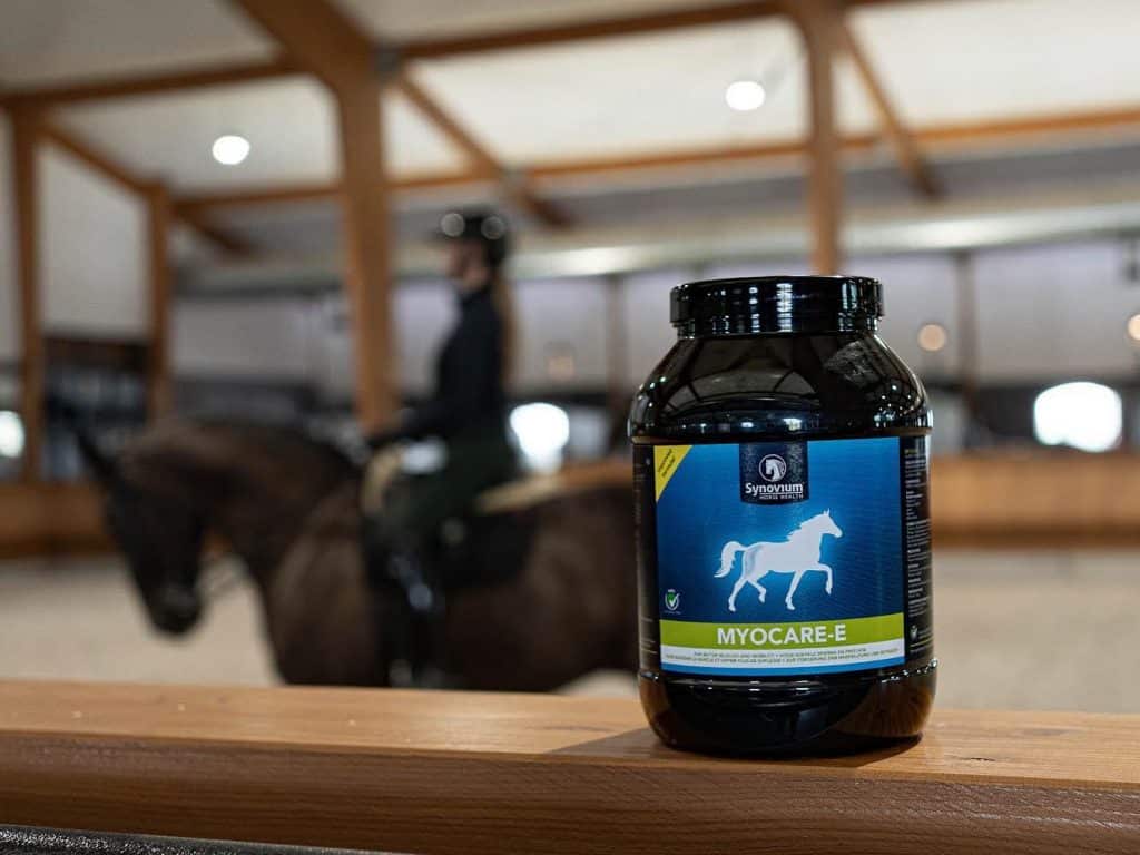 Synovium Myocare E muscle supplement for horses
