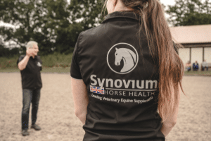 Equine Immune System with Synovium Horse Health