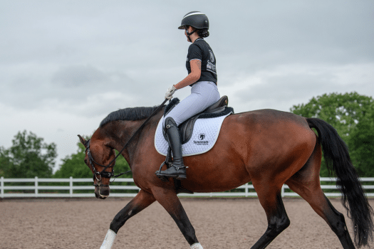 The functions and importance of the Equine Immune System